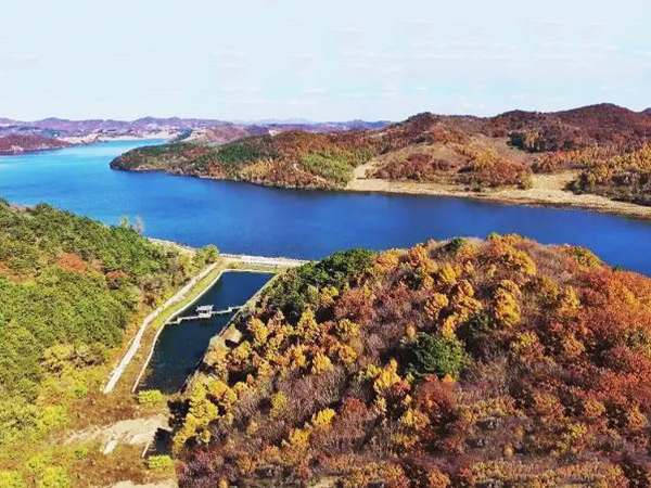 大河贝墓园风景